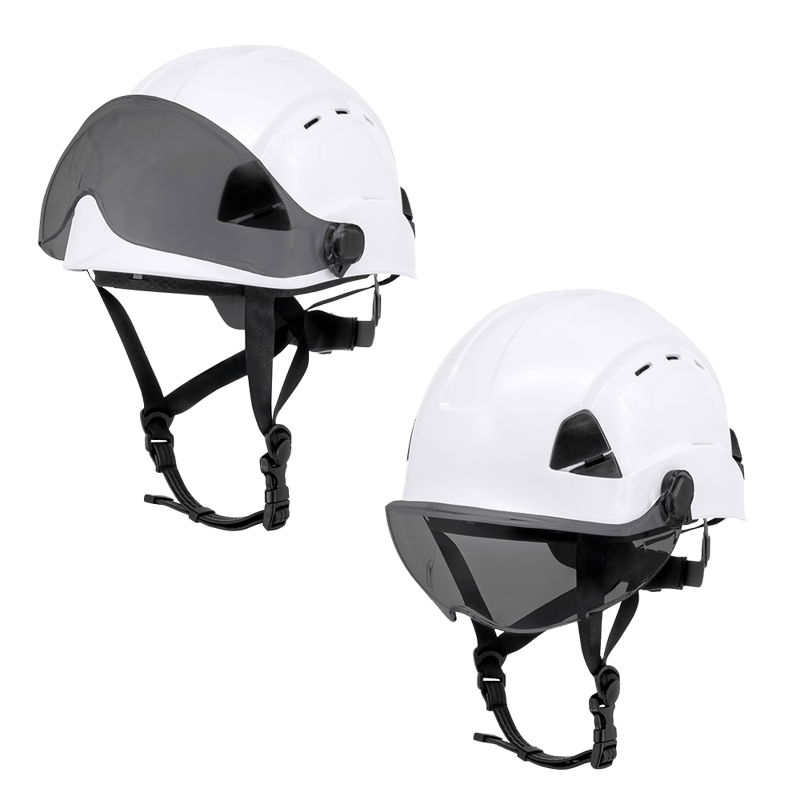 DPG22 Visor